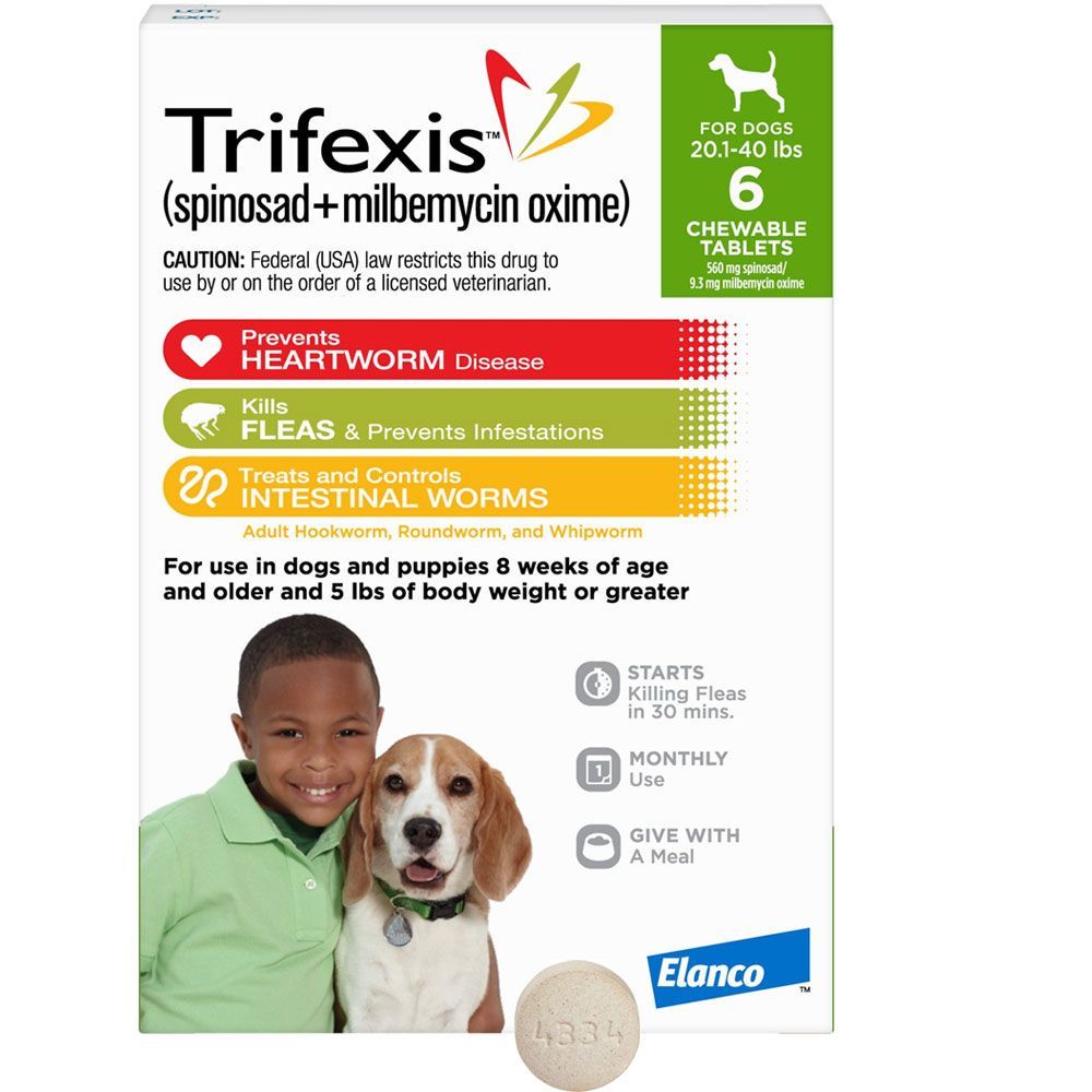 when-can-puppies-start-trifexis