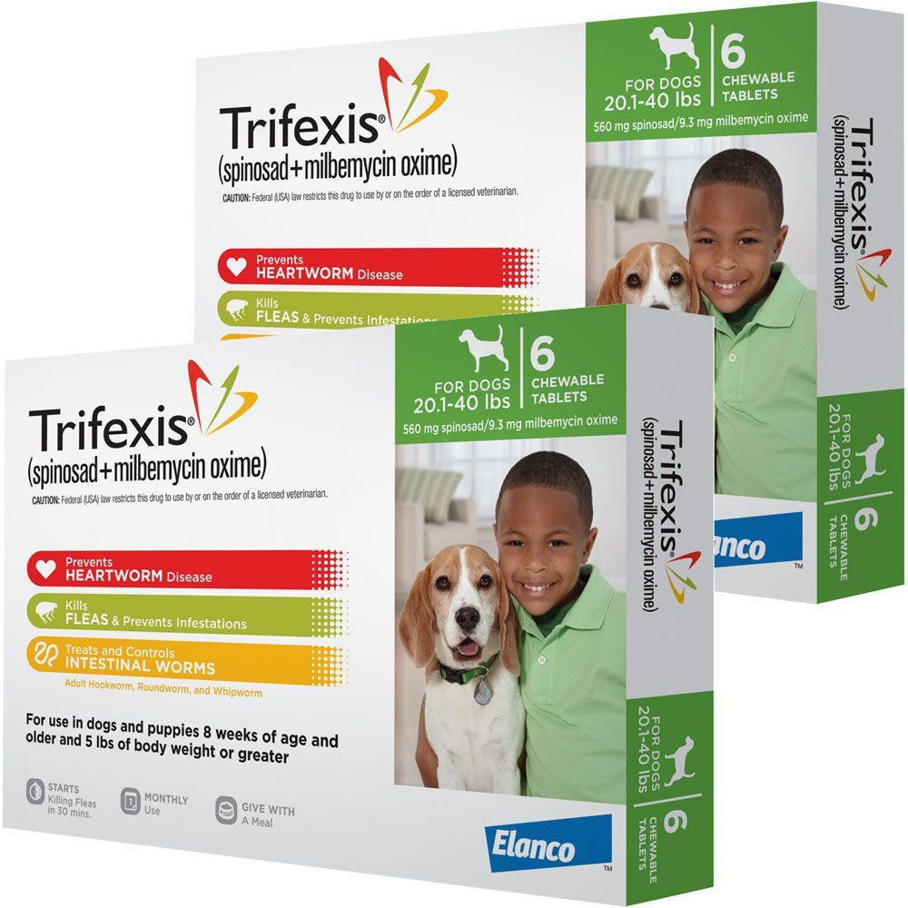 When Can Puppies Start Trifexis