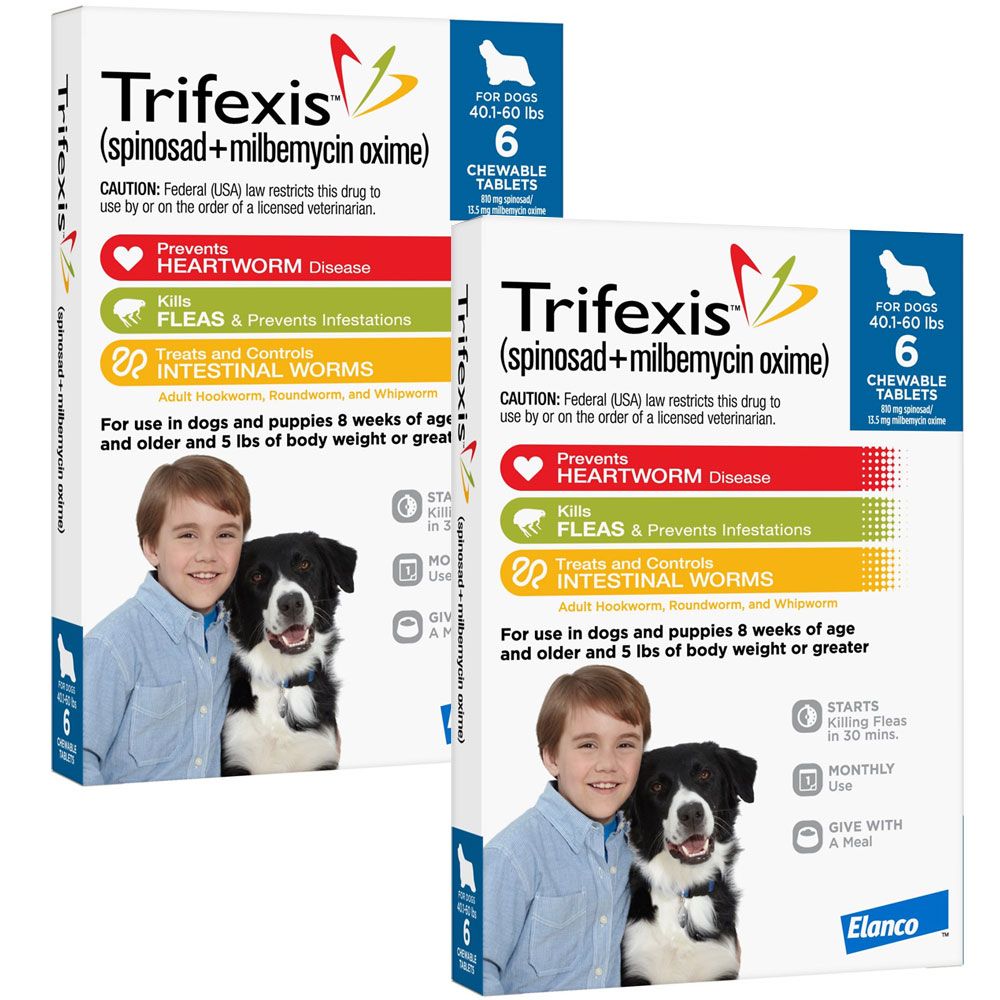when-can-puppies-start-trifexis