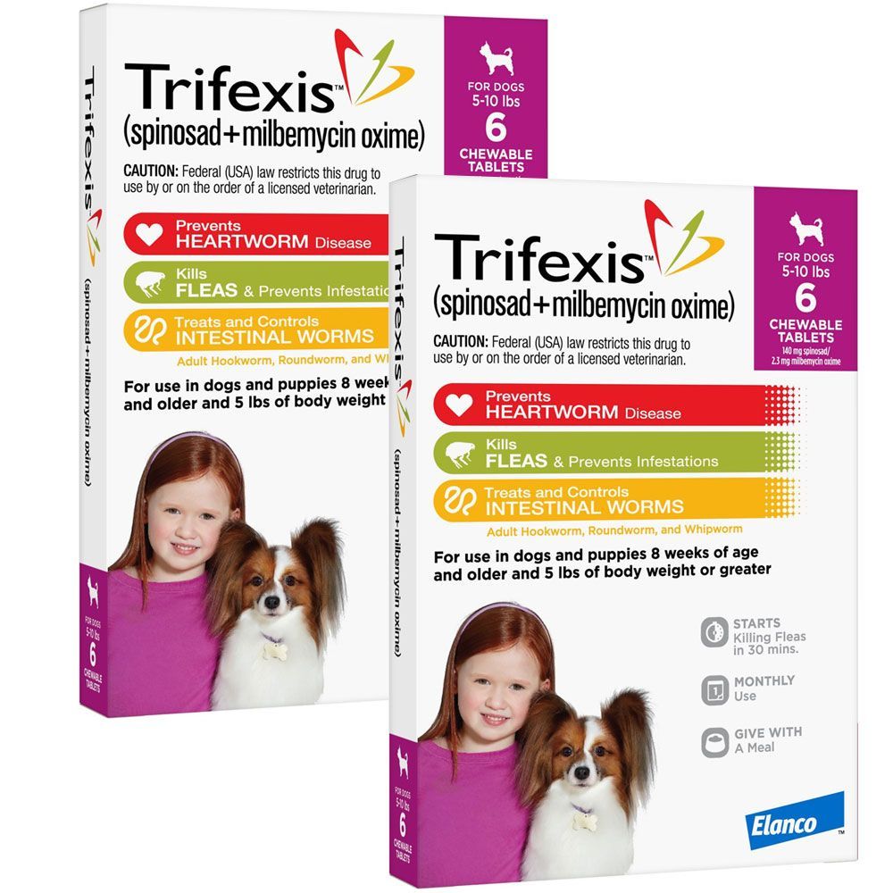 when-can-puppies-start-trifexis