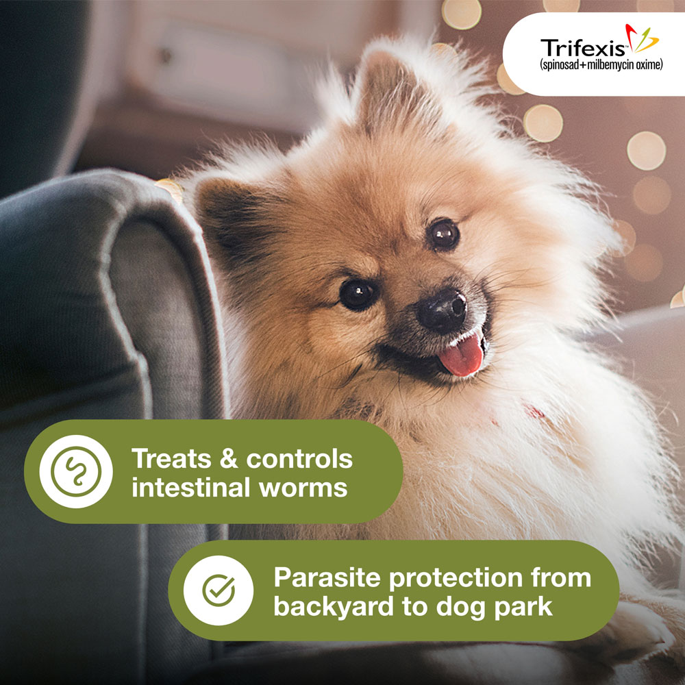 Trifexis 10.120 lbs for Dogs, 12 Chewable Tablets