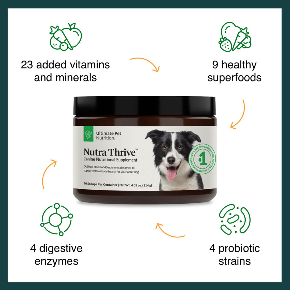 Ultimate Pet Nutrition Nutra Thrive Multivitamin Powder Supplement for Dogs, 4.02 oz. On Sale