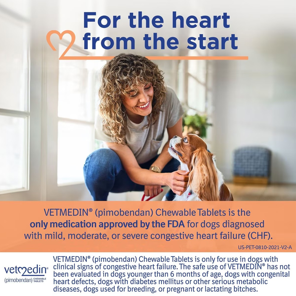 Vetmedin pimobendan for Dogs 1.25mg (1 chew tablet) [Congestive