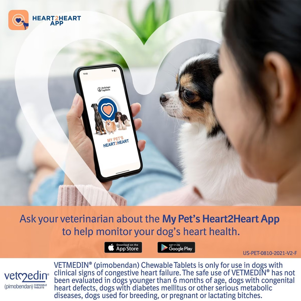 Vetmedin pimobendan for Dogs 10mg (1 chew tablet) [Congestive