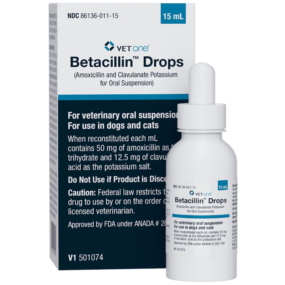VetOne Betacillin Drops for Dogs & Cats, 62.5mg/mL, 15mL On Sale