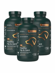 VetriScience GlycoFlex 3 Extra Strength for Dogs - Healthy Hip & Joint 3-PACK (360 Chewable Tablets)