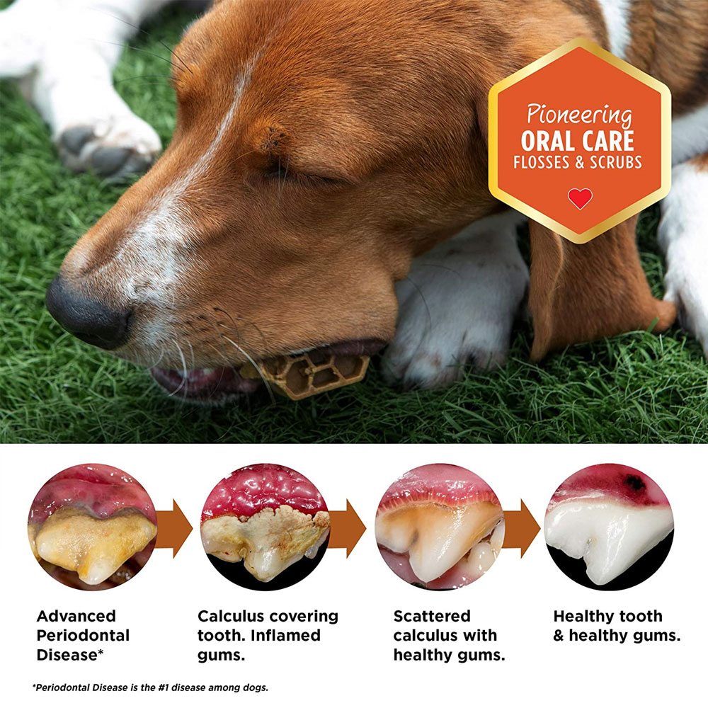 Yummy Combs Mini Hexi Flossing Dental Treats for Dogs 51100 lbs