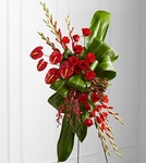 T&#432; t&#432;&#7903;ng ng&#7885;t ngo 