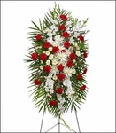 Trng hoa Duyn dng mu &#273;&#7887; & tr&#7855;ng