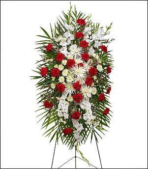 Trng hoa Duyn dng mu &#273;&#7887; & tr&#7855;ng