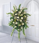 Trng hoa l&#7897;ng l&#7849;y 