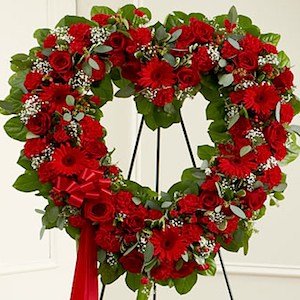 Vng hoa tim &#273;&#417;n s&#7855;c mu &#273;&#7887;