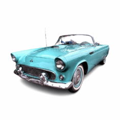 Ford Thunderbird Filler Necks