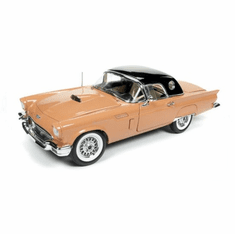 Ford Thunderbird Fuel Tanks