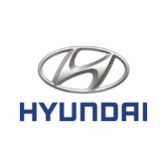 Hyundai Gas Tank Straps