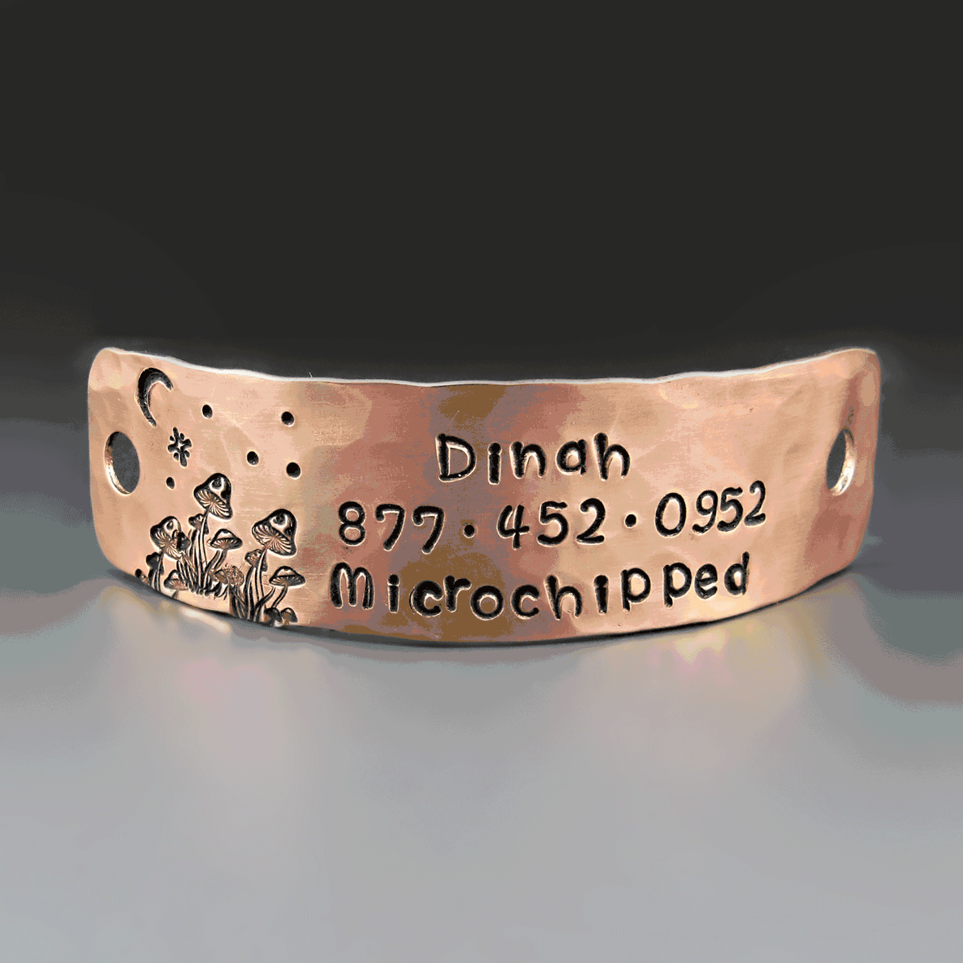 Mushroom Pet ID Dog Tag