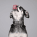 Have Your People Call My People Dog Collar