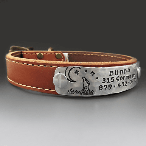 Leather Dog Collar 