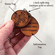 Leather Mountain Range Custom Pet ID