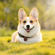 Leather Mountain Range Custom Pet ID