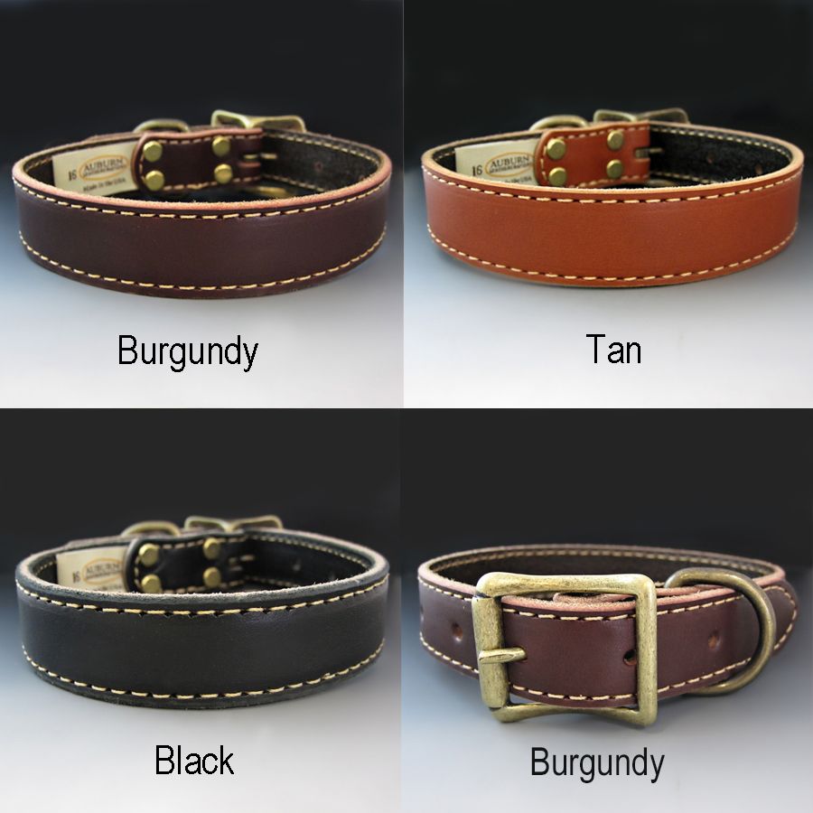Lucky Leather Dog Collar