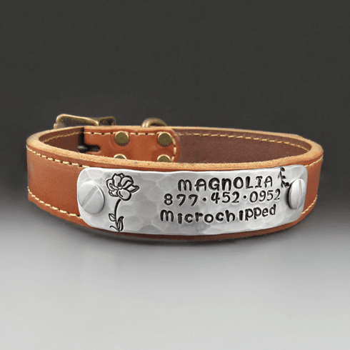Magnolia Flower Dog Collar 