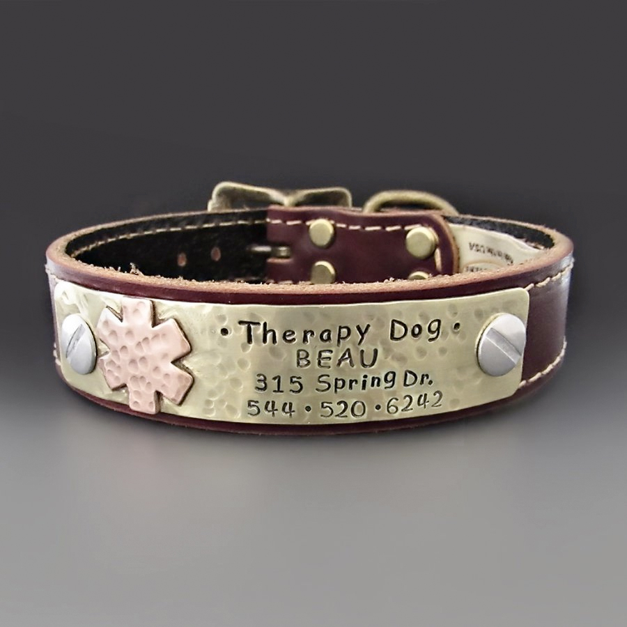 Medical Alert Therapy Dog Collar