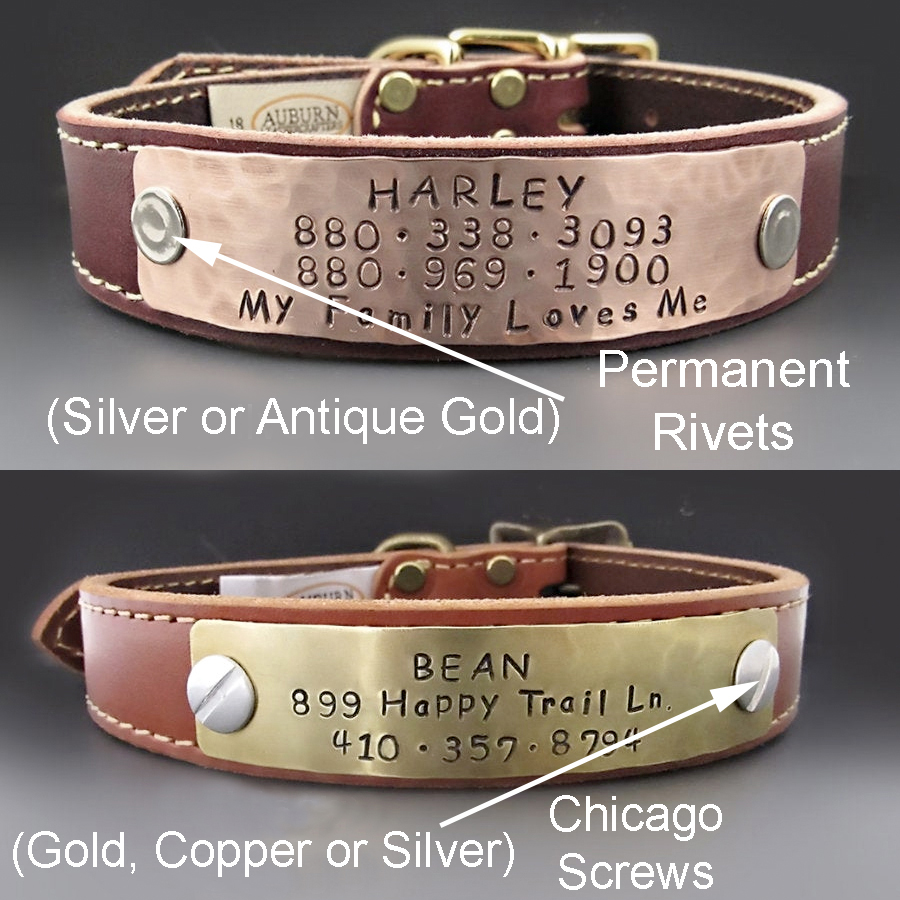 Medical Alert Therapy Dog Collar