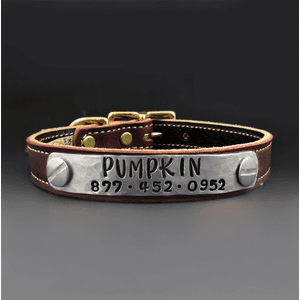 Personalized Pet Collars Leather Dog Collar With Metal Buckle