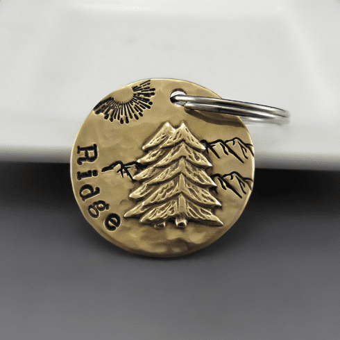 pine-tree-mountain-pet-id-dog-