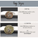 Pit Bull Custom Pet ID Dog Tag