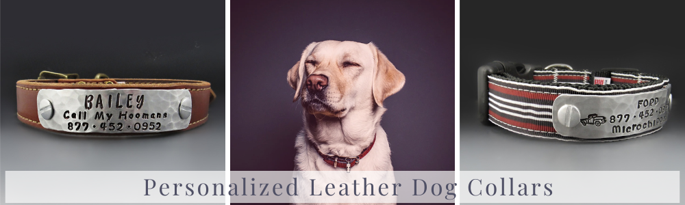 Personalized Leather Dog Collars