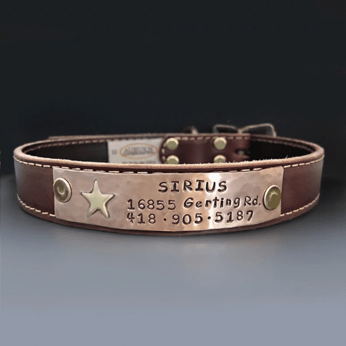 Super Star Custom Dog Collar | LG Stitched Collection