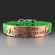 T Rex Custom Dog Collar {Medium-Large Breeds)