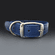 T Rex Custom Dog Collar {Medium-Large Breeds)