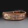 T Rex Custom Dog Collar | Stitched Collection