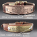 T Rex Custom Dog Collar | Stitched Collection