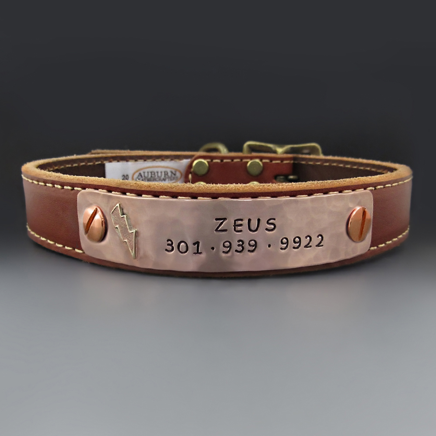 Mighty Zeus Custom Leather Dog Collar