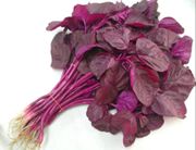 2000 Beetroot red spinach, Red Spinach , Red Amaranth Seeds, 