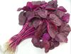 2000 Beetroot red spinach, Red Spinach , Red Amaranth Seeds, 