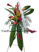 Shops Hoa m Ma - Hoa T&#432;&#417;i Tang L&#7877;  Michigan 