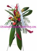 Shops Hoa m Ma - Hoa T&#432;&#417;i Tang L&#7877;  Ohio 