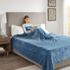 Beautyrest 100% Polyester Knitted Solid Microlight to Solid Microlight Heated Blanket - Twin