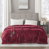 Beautyrest 100% Polyester Solid Microlight to Solid Microlight Heated Blanket - Queen