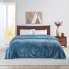 Beautyrest Heated Microlight to Berber Blanket - King