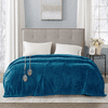 Beautyrest Heated Plush Blanket - Full