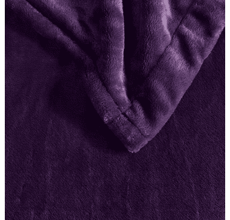 Beautyrest Heated Plush Blanket - Full