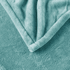 Beautyrest Heated Plush Throw - 60