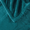 Beautyrest Heated Plush Throw - 60
