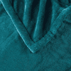 Beautyrest Heated Plush Throw - 60